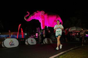 BIB: 
                            <button type="button" onclick="openModal(26544027)" class="btn btn-primary btn-sm float-right btn-popup" data-toggle="modal" data-target=".modal-high-quality">
                        <i class="fas fa-shopping-cart"></i> Add to Cart
                    </button>
                                            <button type="button" onclick="isThisMe(26544027, true)" class="btn btn-success btn-sm float-right btn-popup btn-isme hidden" data-toggle="tooltip" data-placement="bottom" title="นี่คือรูปของคุณใช่ไหม คลิกที่นี่เพื่อเอาเข้าอัลบั้ม">
                        <i class="fas fa-plus"></i> Add to album
                    </button>
                    <button type="button" onclick="isThisMe(26544027, false)" class="btn btn-warning btn-sm float-right btn-popup btn-isnotme hidden">
                        <i class="fas fa-ban"></i> Remove from album
                    </button>